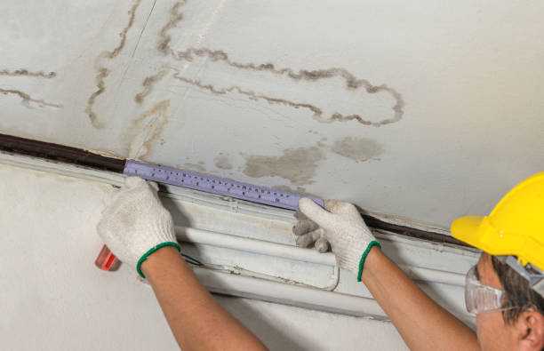 Reliable Flood Cleanup contractor in Chester, VA by Water Damage Irwin
